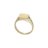 Anillo de sello Ellis de acero inoxidable dorado Anillo de sello Ellis de acero inoxidable dorado