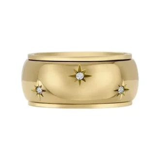 Anillo Fidget Band Sadie Shine Bright de acero inoxidable dorado