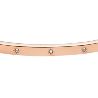 Pulsera tipo esclava Sadie Shine Bright en acero inoxidable tono oro rosa